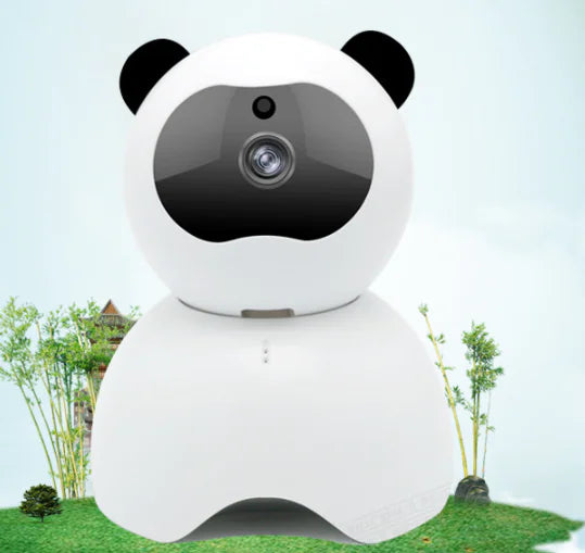 Care Home Security Camera System
