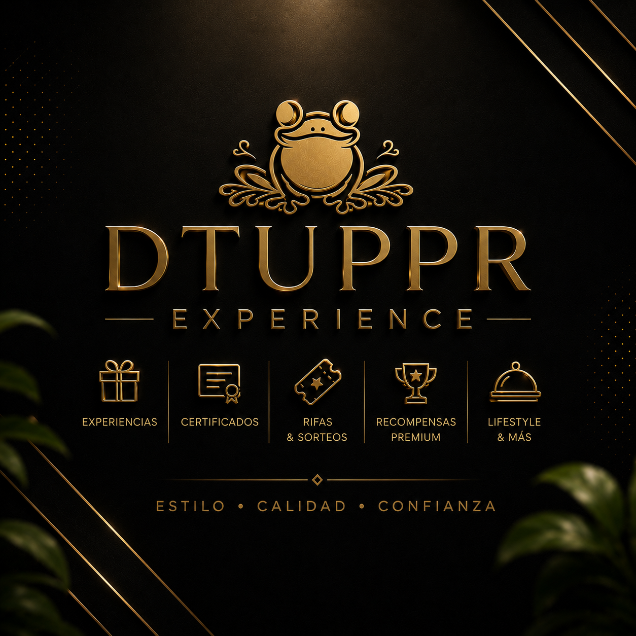 DTUPPR Experience