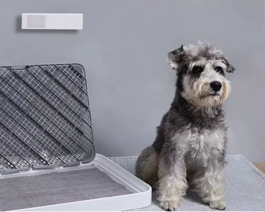 Smart Odor Eliminator for Pets
