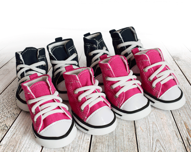Zapatitos de Lona Denim para Perros – Protección y Estilo para tu Mascota