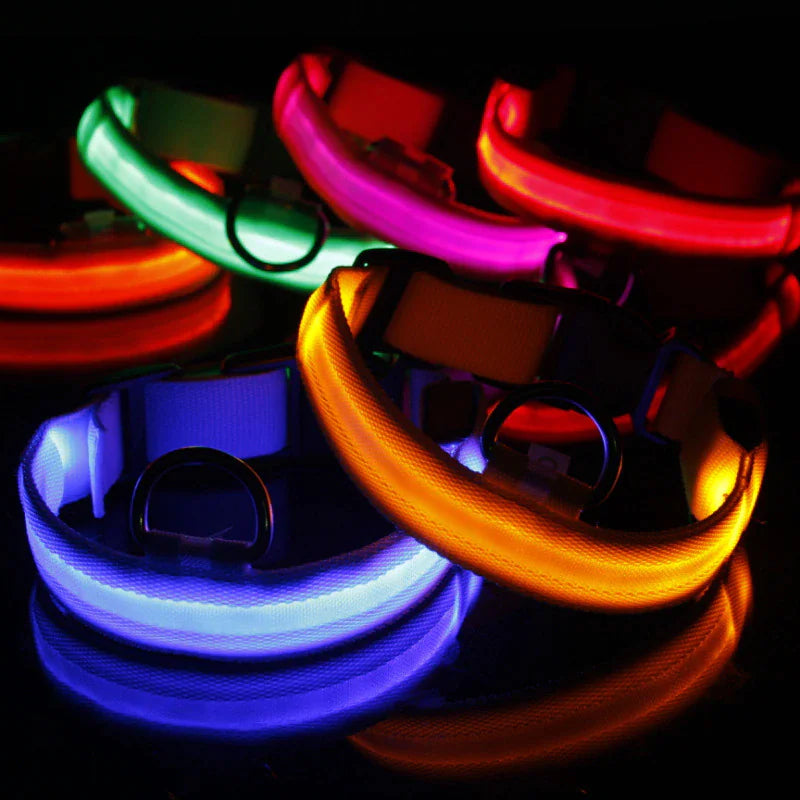 Collar Ajustable LED para Perros con Luz Intermitente y Brillante para la Seguridad de Mascotas, Impermeable