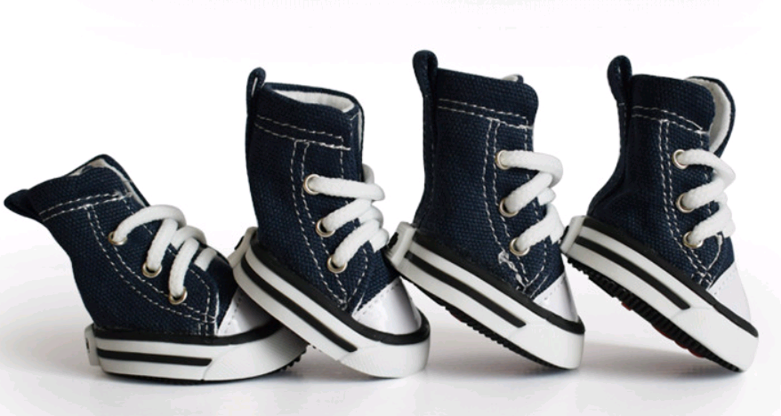 Zapatitos de Lona Denim para Perros – Protección y Estilo para tu Mascota