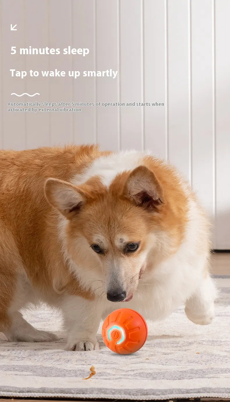 Pelota Interactiva Inteligente para Mascotas