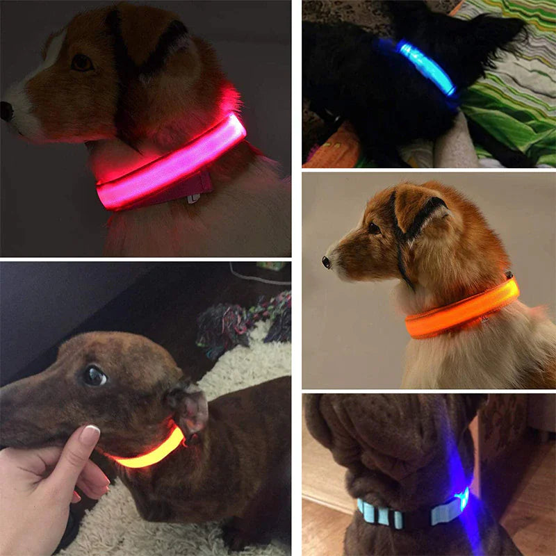 Collar Ajustable LED para Perros con Luz Intermitente y Brillante para la Seguridad de Mascotas, Impermeable