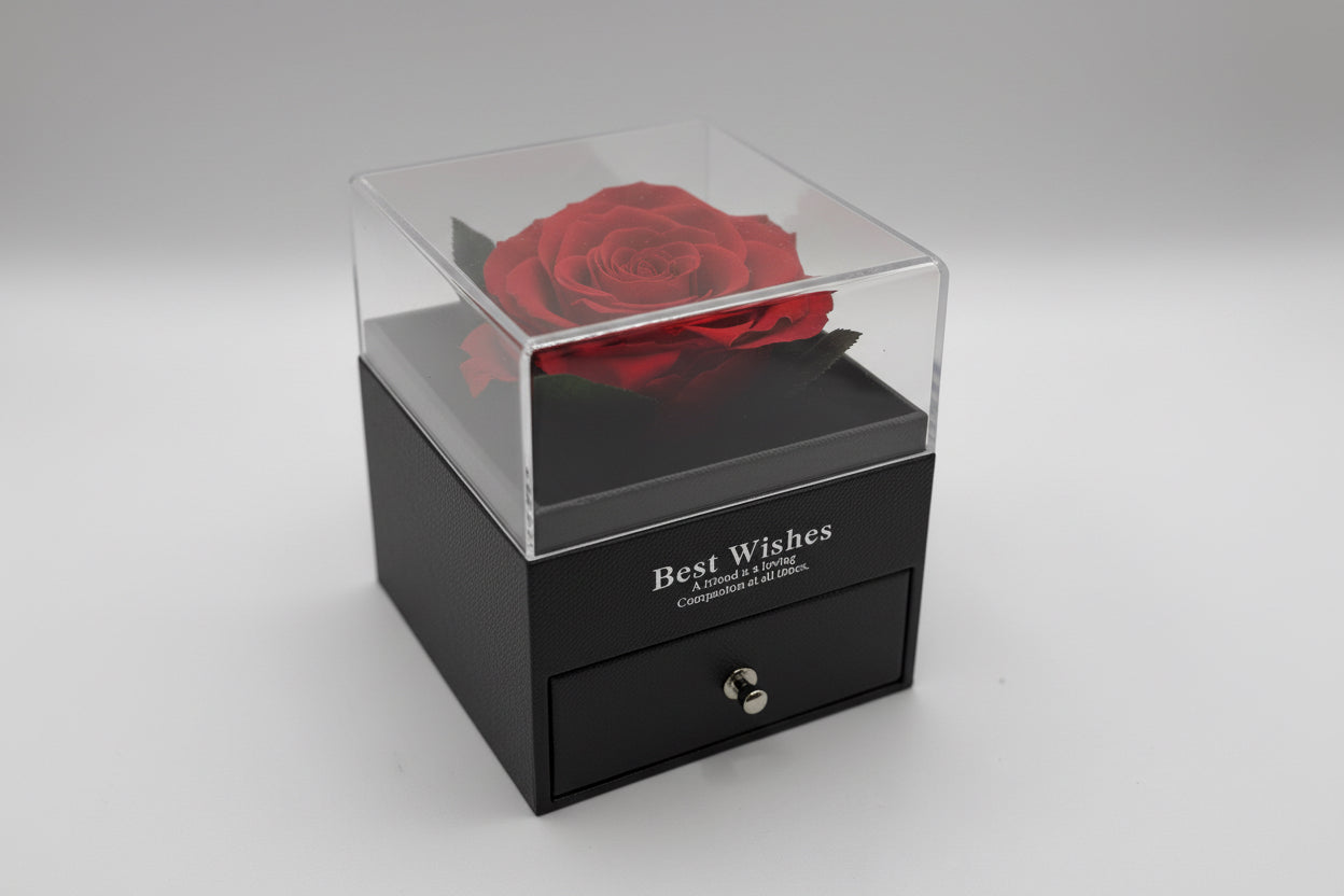 Conjunto de Collar y Aretes de Corazón en Plata de Ley