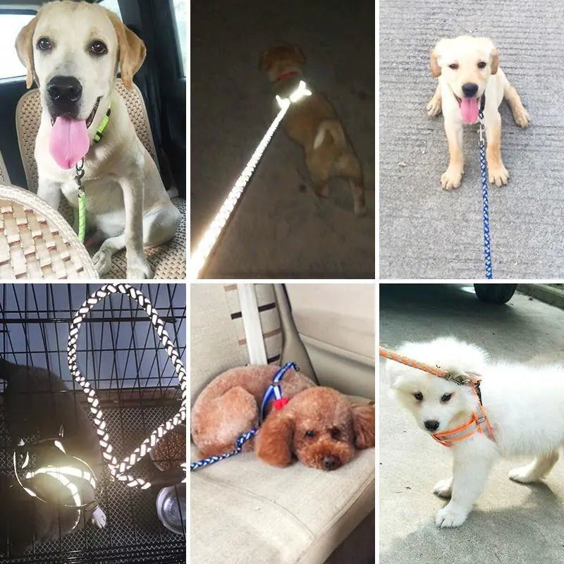 Dog Leash for Pets