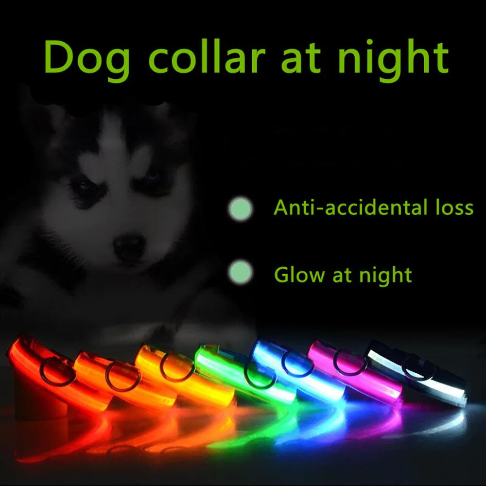 Collar Ajustable LED para Perros con Luz Intermitente y Brillante para la Seguridad de Mascotas, Impermeable