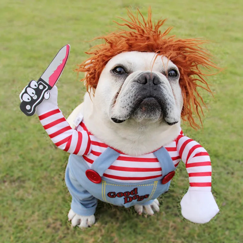 Disfraz de Halloween para Mascotas Cosplay