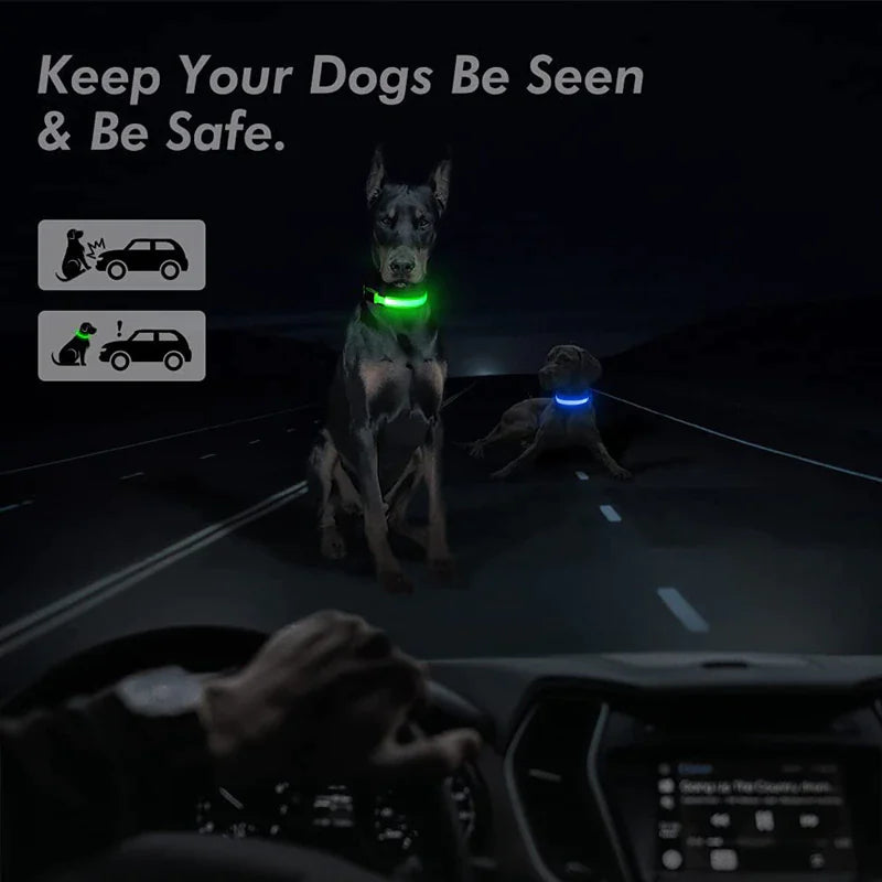 Collar Ajustable LED para Perros con Luz Intermitente y Brillante para la Seguridad de Mascotas, Impermeable