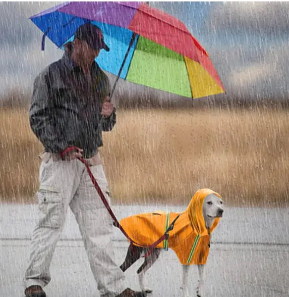 Impermeable para Mascotas