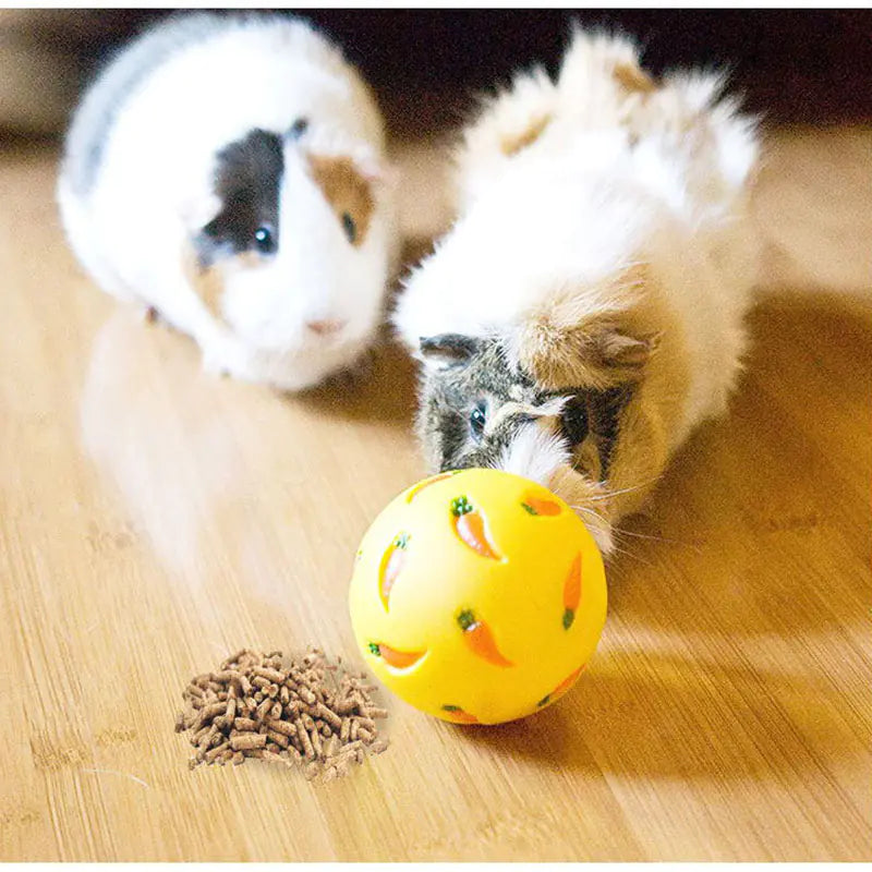 Juguete Educativo para Conejos con Bola Dispensadora de Comida para Mascotas