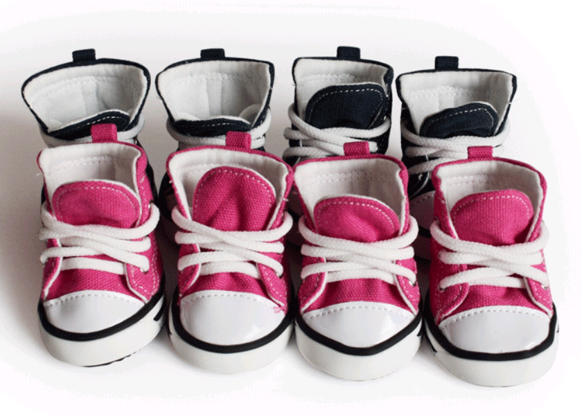 Zapatitos de Lona Denim para Perros – Protección y Estilo para tu Mascota