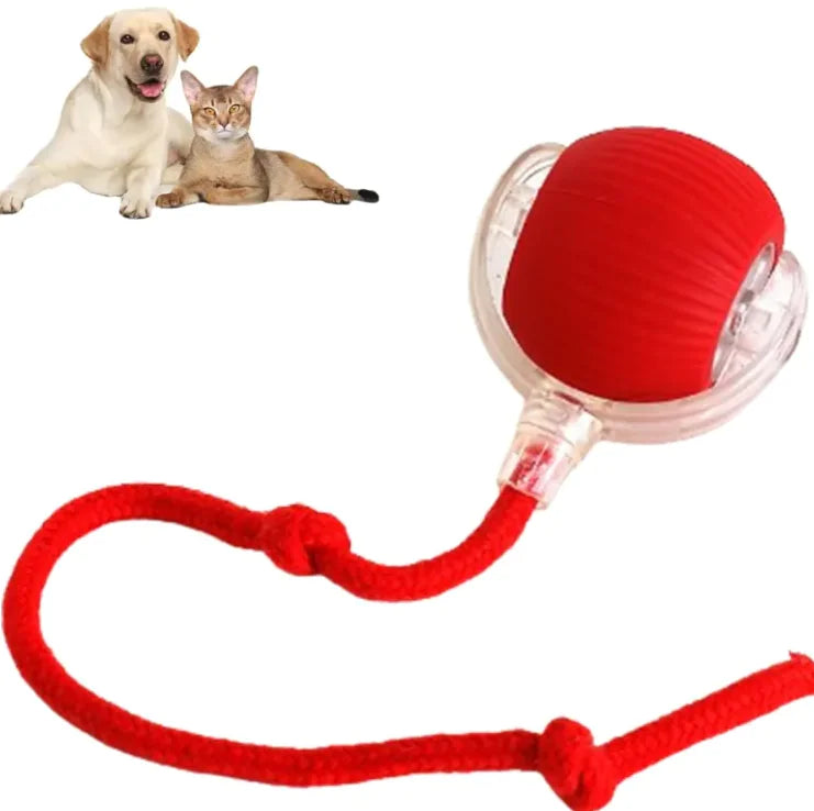 Juguete Bola para Mascotas