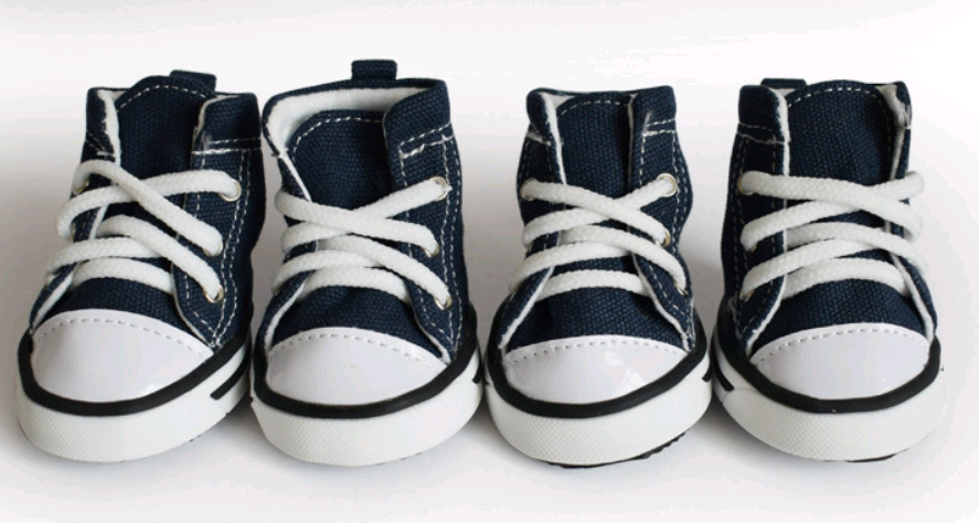 Zapatitos de Lona Denim para Perros – Protección y Estilo para tu Mascota