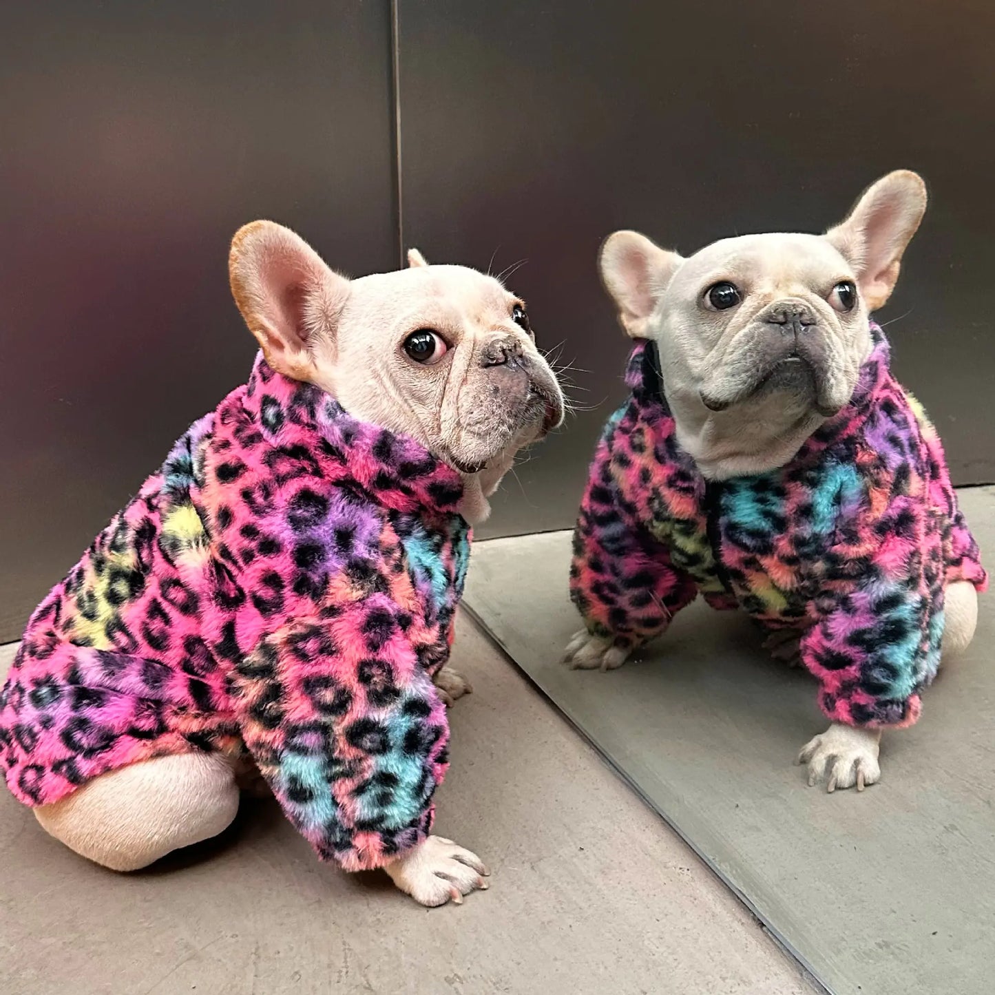 Abrigo de Terciopelo con Estampado de Leopardo Colorido para Mascotas