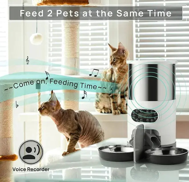 Dispensador Automático de Comida Chique para Mascotas