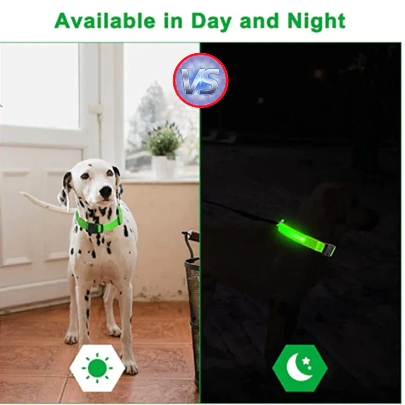 Collar Ajustable LED para Perros con Luz Intermitente y Brillante para la Seguridad de Mascotas, Impermeable
