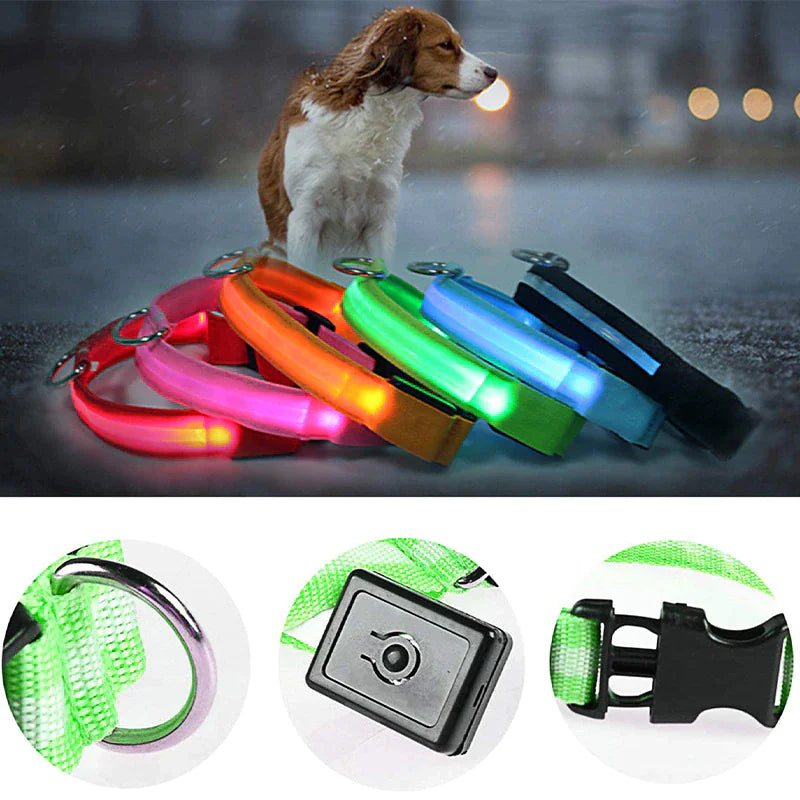 Collar Ajustable LED para Perros con Luz Intermitente y Brillante para la Seguridad de Mascotas, Impermeable