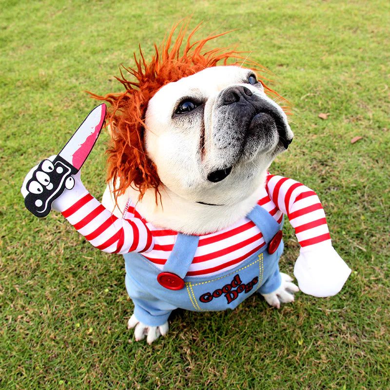 Disfraz de Halloween para Mascotas Cosplay