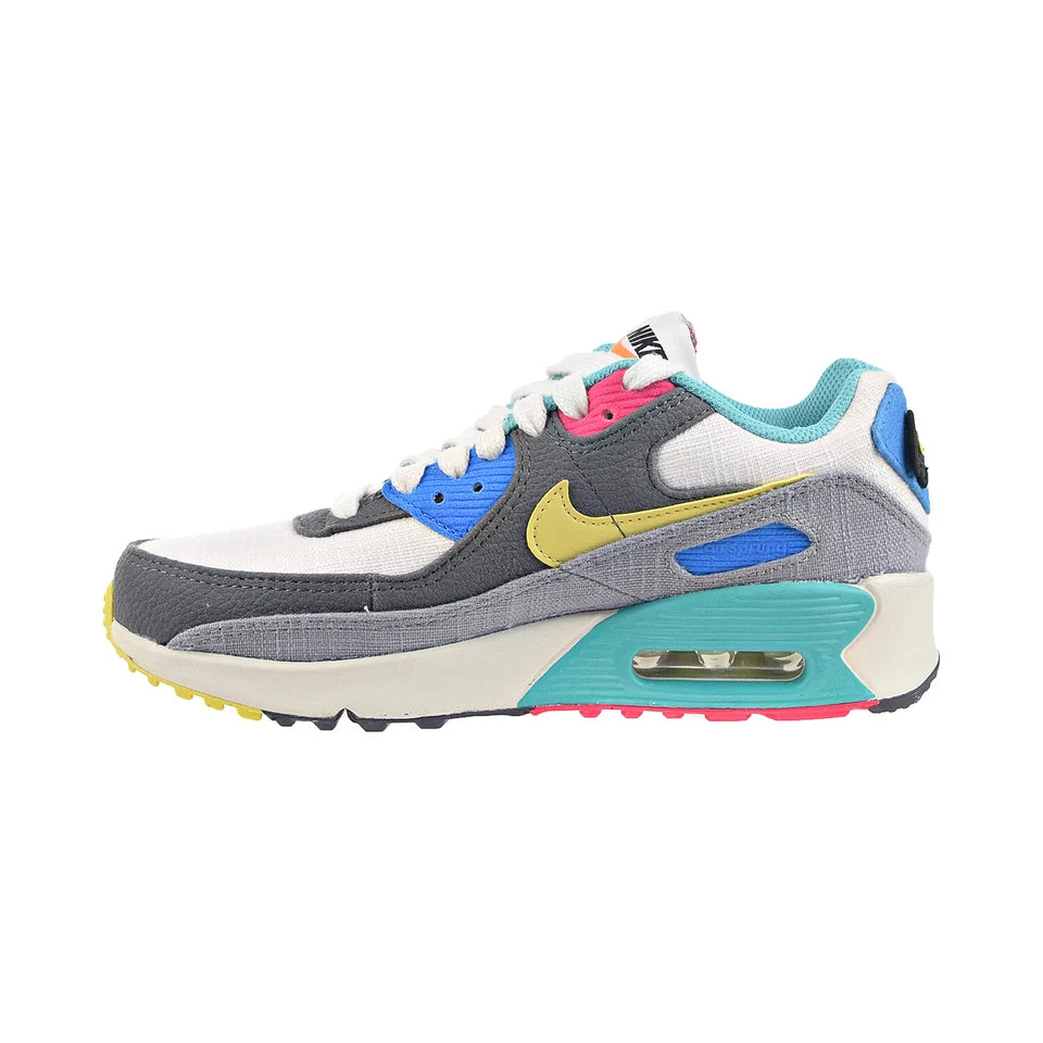 Nike Air Max 90 (Big Kid)