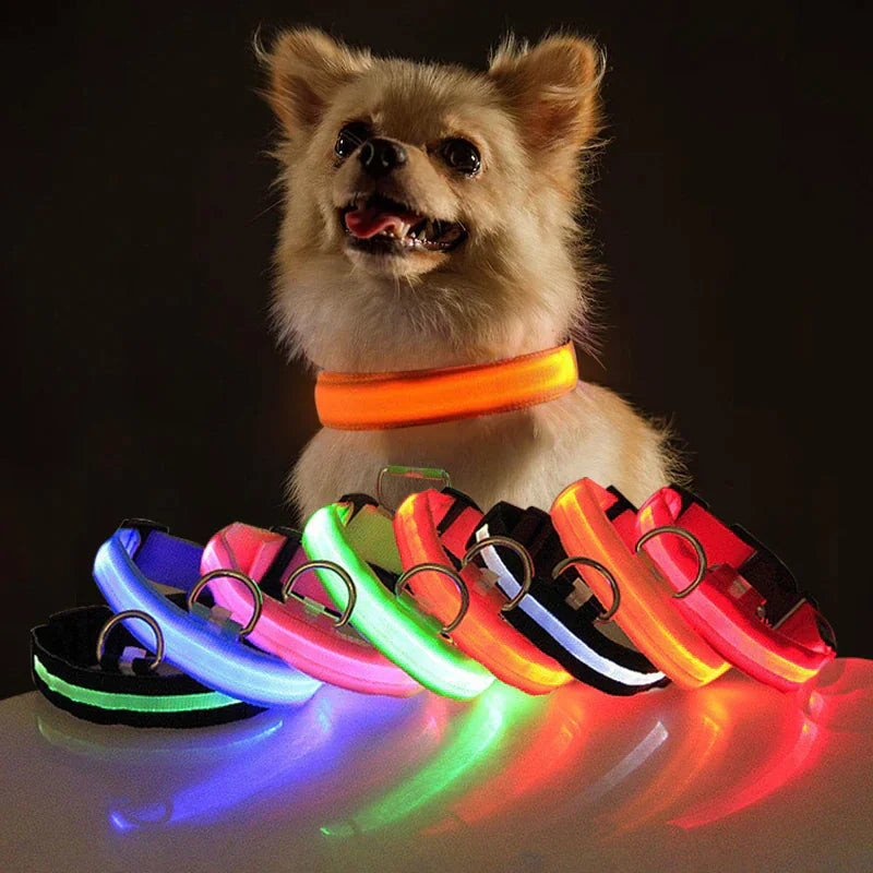 Collar Ajustable LED para Perros con Luz Intermitente y Brillante para la Seguridad de Mascotas, Impermeable