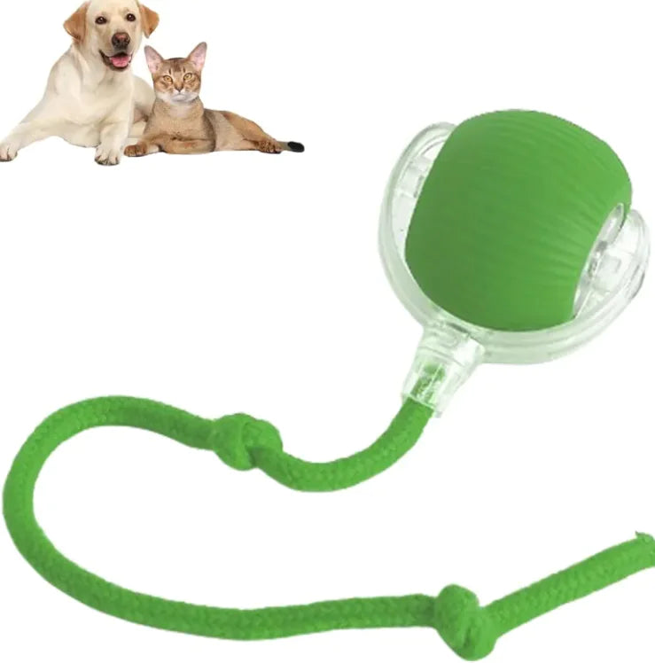Juguete Bola para Mascotas